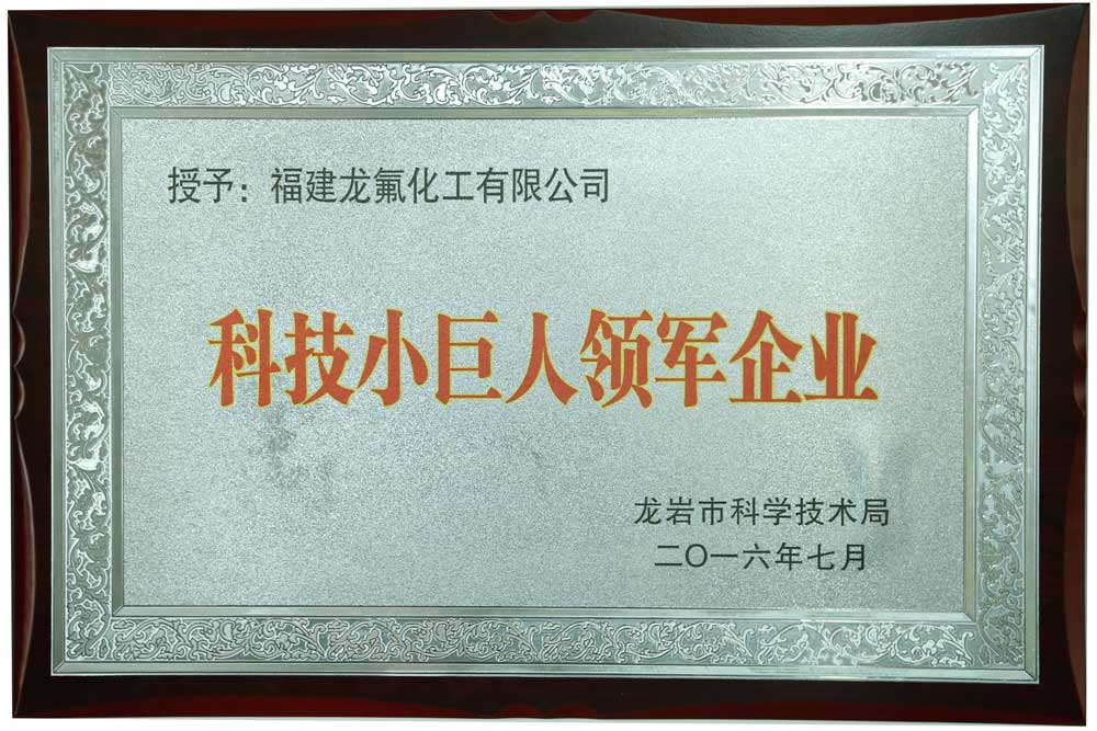 科技小巨人領軍企業(yè)